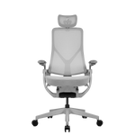 Load image into Gallery viewer, TT Aeroflex Ergochair - Ashy Grey