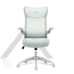 Load image into Gallery viewer, TT AIRFLEX V2 Ergochair - Minty Green
