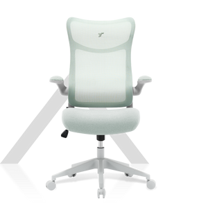TT AIRFLEX V2 Ergochair - Minty Green