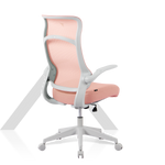 Load image into Gallery viewer, TT AIRFLEX Ergochair - Coral Red
