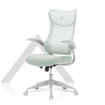 Load image into Gallery viewer, TT AIRFLEX V2 Ergochair - Minty Green
